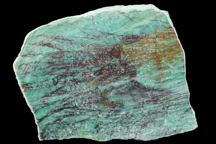 Polished Fuchsite Chert (Dragon Stone) Slab - Australia #89975